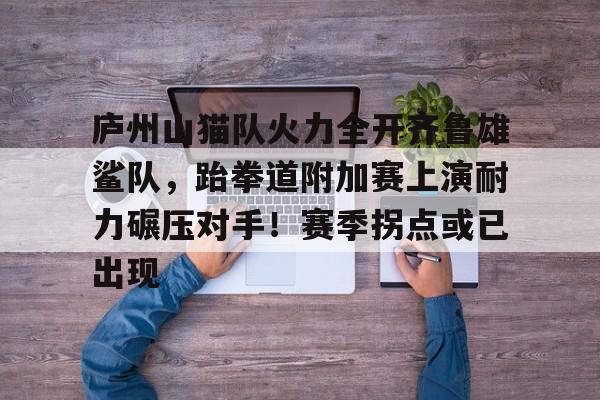开云官网-庐州山猫队火力全开齐鲁雄鲨队，跆拳道附加赛上演耐力碾压对手！赛季拐点或已出现的简单介绍